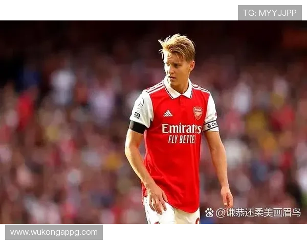 B费与厄德高：体系核心角色的战术对比分析