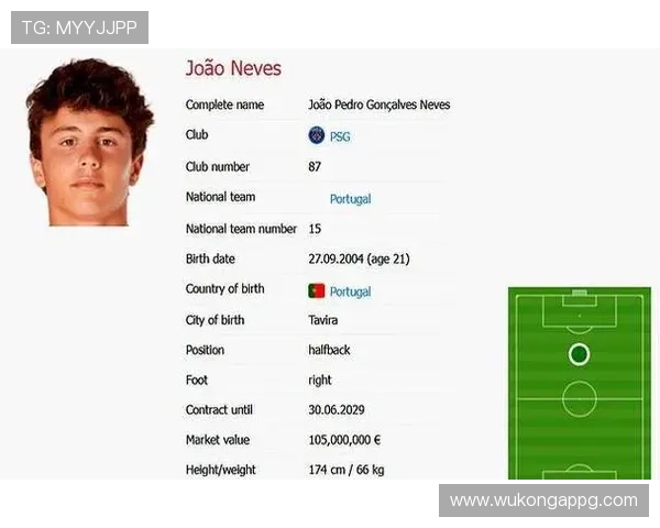 内维斯英超长期主力队长身份与职业高度解析