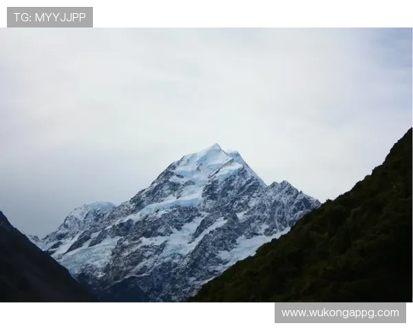 新西兰冲击2026世界杯赛程前瞻:能否突围大洋洲直通名额 新西兰冲击2026世界杯赛程前瞻:能否突围大洋洲直通名额